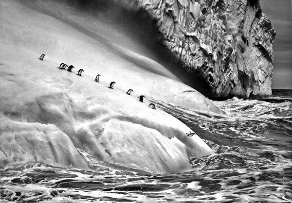 The Salt of the Earth,大地之盐,assignment代写,paper代写,美国作业代写 The Salt of the Earth,大地之盐,assignment代写,paper代写,美国作业代写