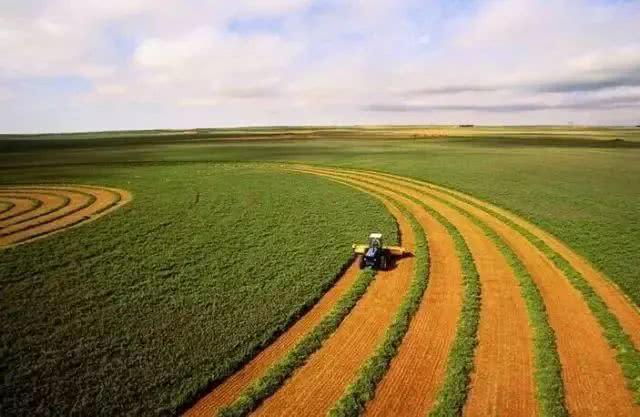 American agricultural policy,美国农业政策,essay代写,作业代写,代写 American agricultural policy,美国农业政策,essay代写,作业代写,代写