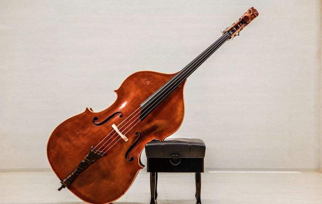 double bass,低音提琴,essay代写,paper代写,作业代写 double bass,低音提琴,essay代写,paper代写,作业代写